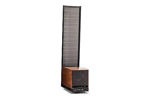Martin Logan Expression ESL 13A Hi-Fi Hoparlör - Arctic Silver (Tekli) - 1