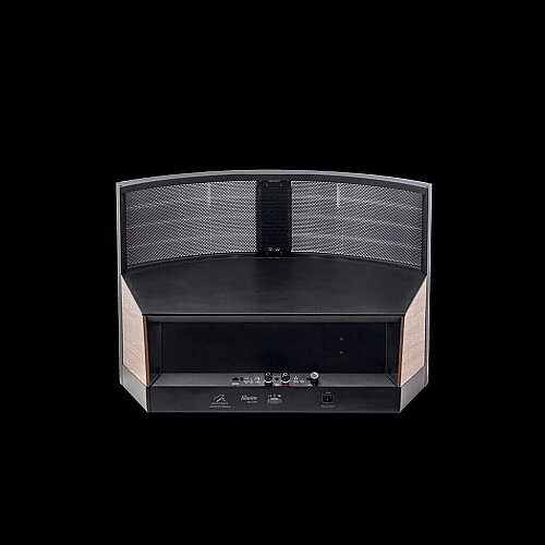 Martin Logan Illusion ESL C34A Hi-Fi Hoparlör - Arctic Silver (Tekli) - 5